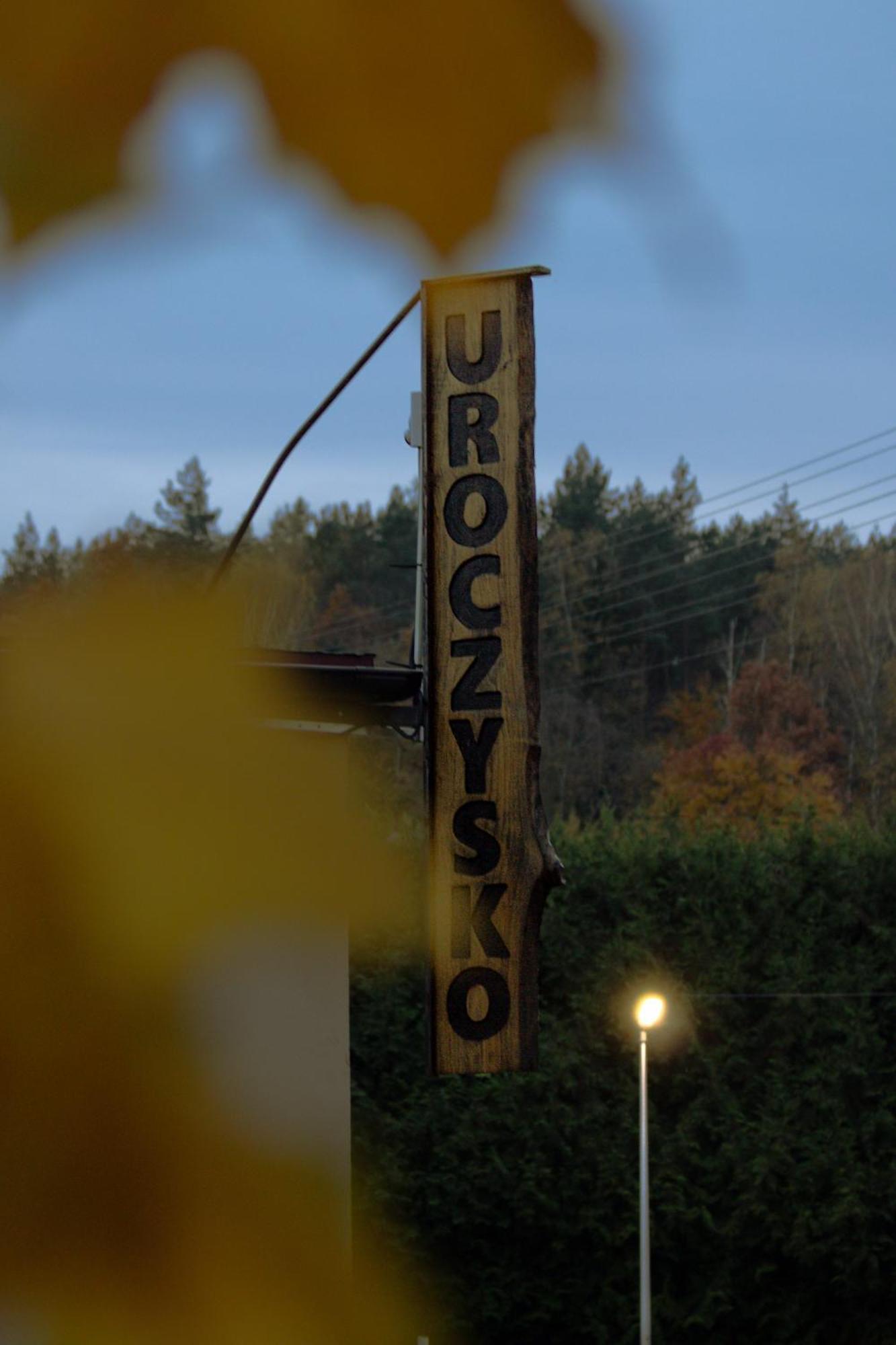 Uroczysko Olesnica Panzió Chodzież Kültér fotó
